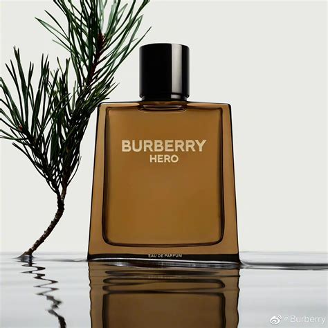 guardian artecle burberry